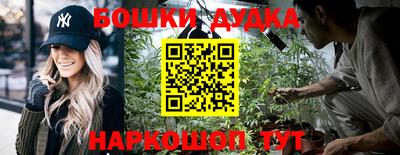 хмурый Абакан